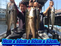 オーシャンマスター 釣果