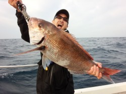 MATSUSHIMA SEANET 釣果