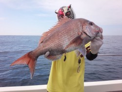 MATSUSHIMA SEANET 釣果