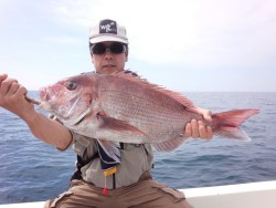 MATSUSHIMA SEANET 釣果