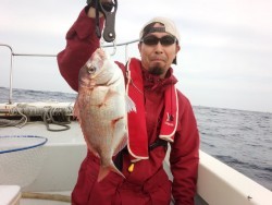 MATSUSHIMA SEANET 釣果