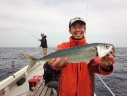 MATSUSHIMA SEANET 釣果