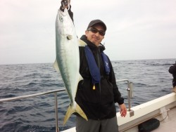 MATSUSHIMA SEANET 釣果