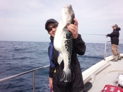 MATSUSHIMA SEANET 釣果