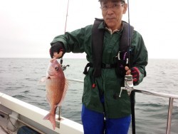 MATSUSHIMA SEANET 釣果