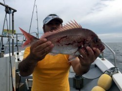 祐英丸 釣果