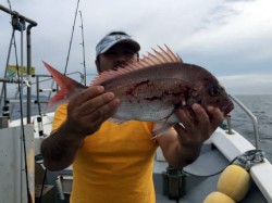 祐英丸 釣果
