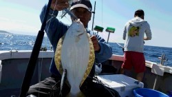 つれ鷹丸 釣果