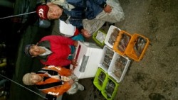 ディープ オーシャン 釣果