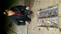 ディープ オーシャン 釣果