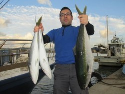 ジギング船 BLUEWATER 釣果