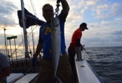 ジギング船 BLUEWATER 釣果