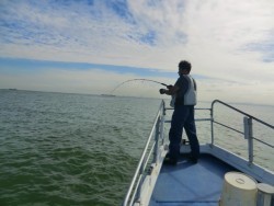 ＢＩＧ－ＯＮＥ 釣果