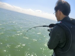 ＢＩＧ－ＯＮＥ 釣果