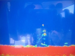 ＢＩＧ－ＯＮＥ 釣果