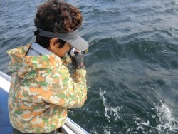 ＢＩＧ－ＯＮＥ 釣果