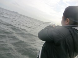 ＢＩＧ－ＯＮＥ 釣果