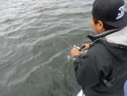 ＢＩＧ－ＯＮＥ 釣果