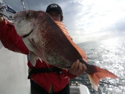 ＢＩＧ－ＯＮＥ 釣果