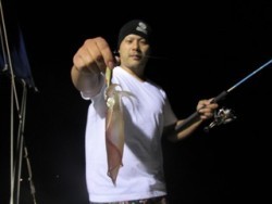 ジギング船 BLUEWATER 釣果