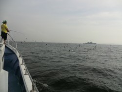 ＢＩＧ－ＯＮＥ 釣果