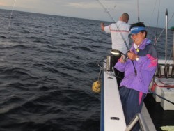 ジギング船 BLUEWATER 釣果