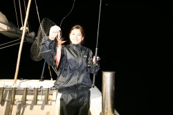 オーシャンズ 釣果