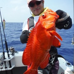 オーシャンパイオニア 釣果