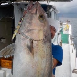 明日丸 釣果