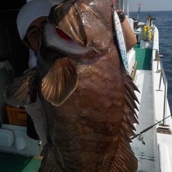 明日丸 釣果