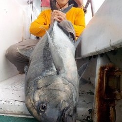明日丸 釣果
