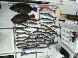 さぶろう丸 釣果