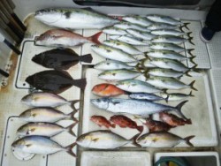 さぶろう丸 釣果