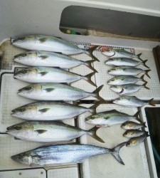 さぶろう丸 釣果