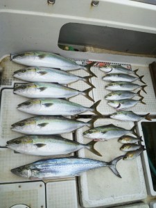 さぶろう丸 釣果