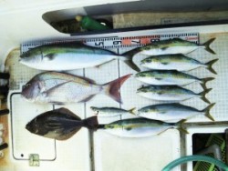 さぶろう丸 釣果