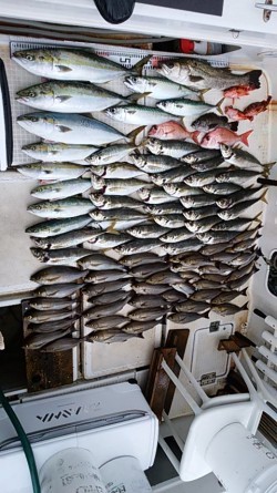 さぶろう丸 釣果