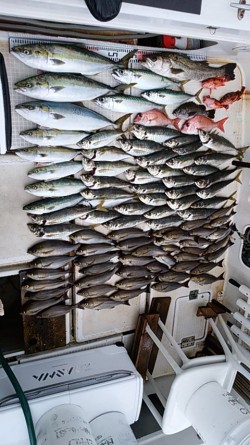 さぶろう丸 釣果