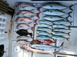 さぶろう丸 釣果