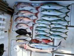 さぶろう丸 釣果