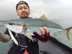 シーマジカル 釣果