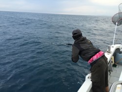 オーシャンキッズ 釣果