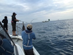 オーシャンキッズ 釣果