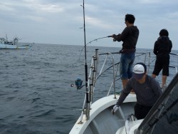 オーシャンキッズ 釣果