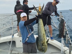 オーシャンキッズ 釣果