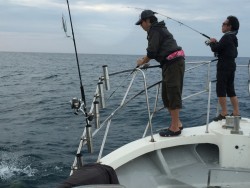 オーシャンキッズ 釣果