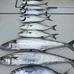 オーシャンキッズ 釣果