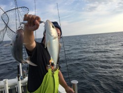 オーシャンキッズ 釣果