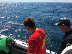 オーシャンキッズ 釣果