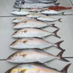 オーシャンキッズ 釣果